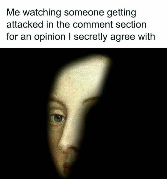 Memes For Introverts (25 pics)