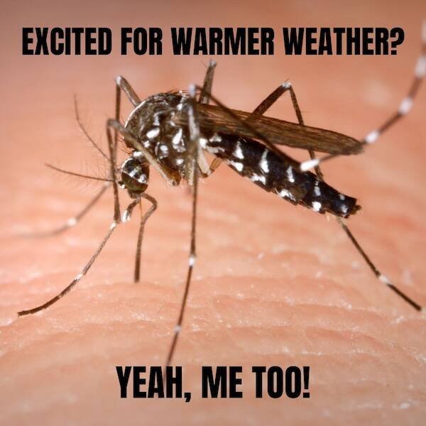 Spring Memes (25 pics)