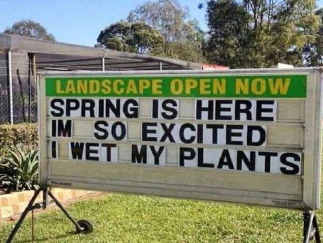Spring Memes (25 pics)