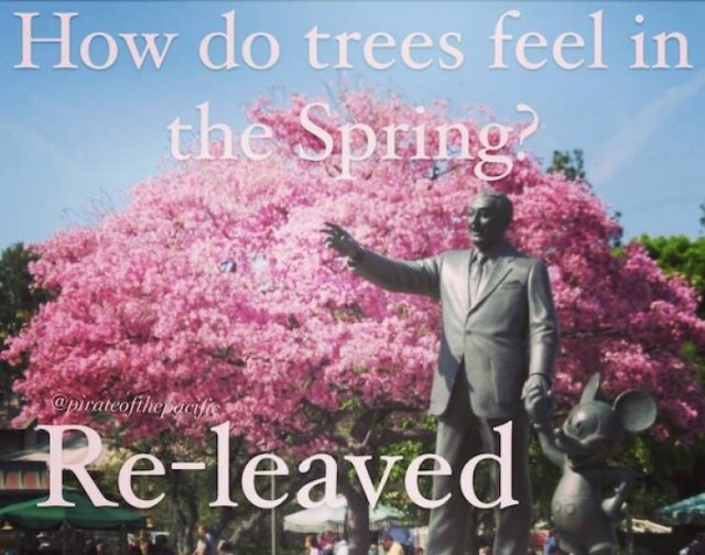 Spring Memes (25 pics)