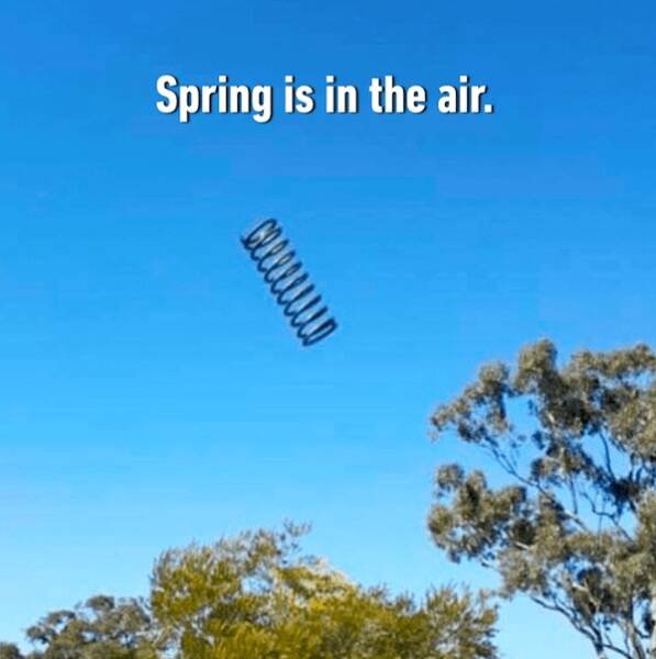 Spring Memes (25 pics)