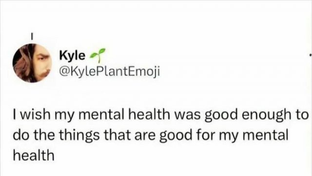 Memes For Introverts (25 pics)