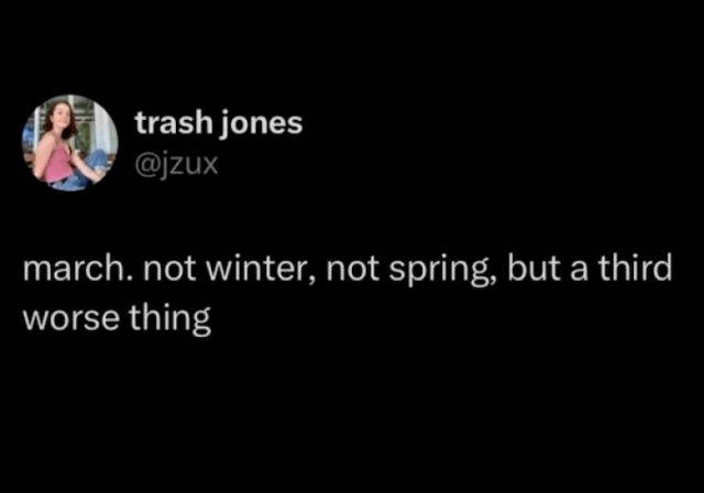 Spring Memes (25 pics)