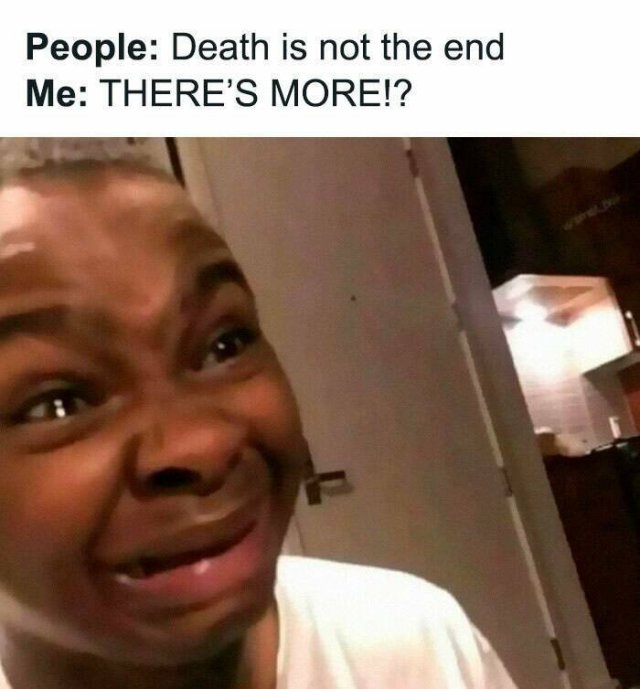 Memes For Introverts (25 pics)
