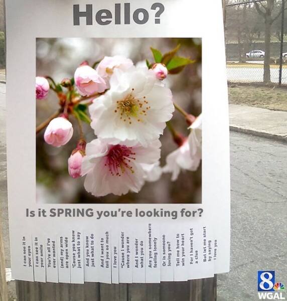 Spring Memes (25 pics)