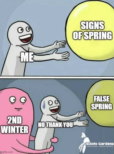 Spring Memes (25 pics)
