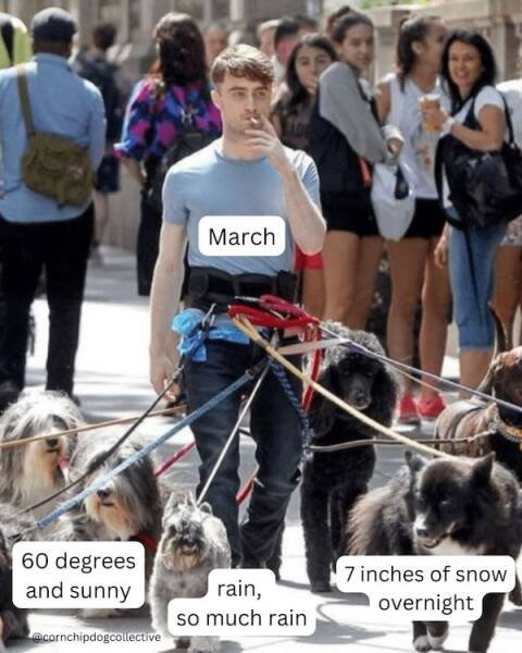 Spring Memes (25 pics)