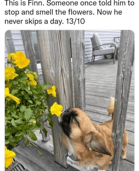 Spring Memes (25 pics)