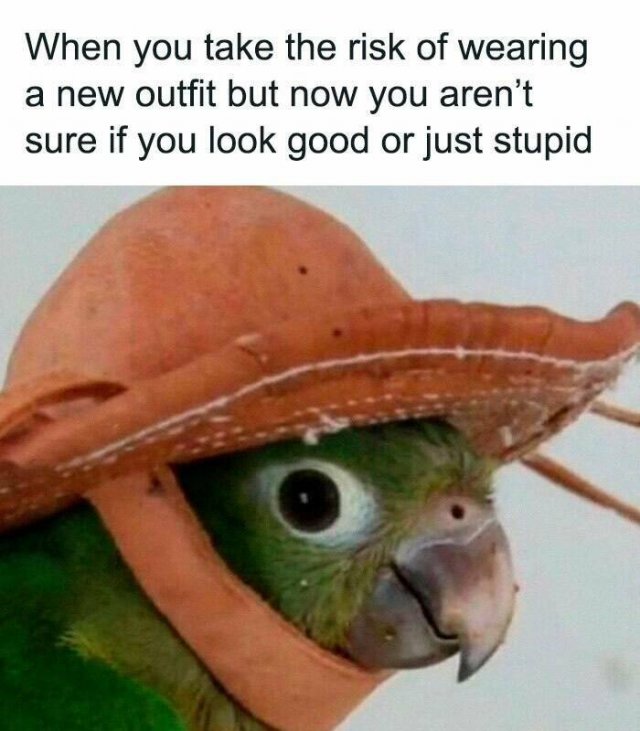 Memes For Introverts (25 pics)