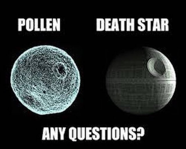 Spring Memes (25 pics)