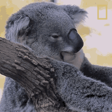 Random Facts (14 gifs) Random Facts (14 gifs)
