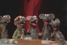 Random Facts (14 gifs) Random Facts (14 gifs)