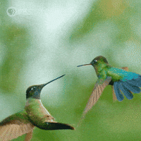 Random Facts (14 gifs) Random Facts (14 gifs)