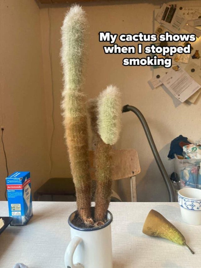 Interesting Finds And Discoveries (23 pics)