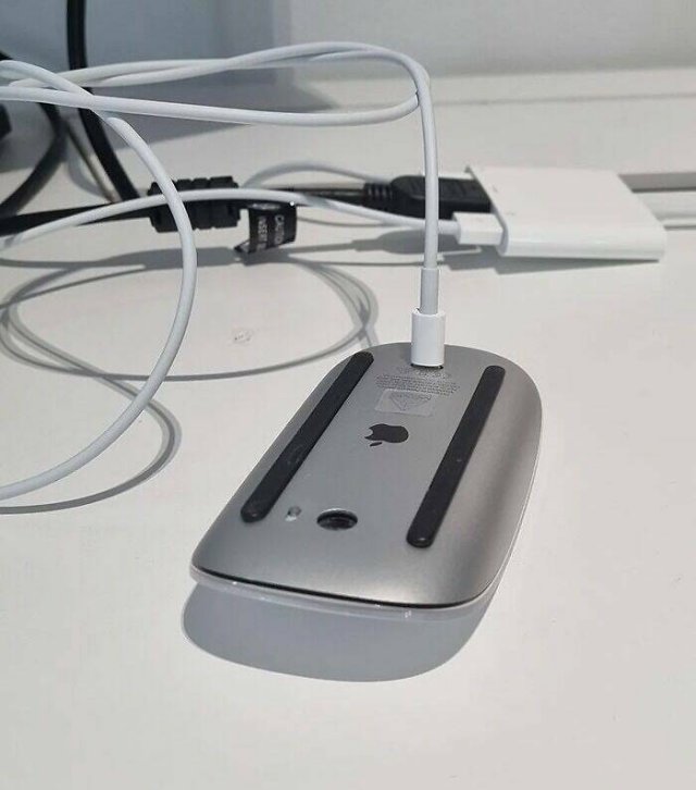 Failed Designs (25 pics)