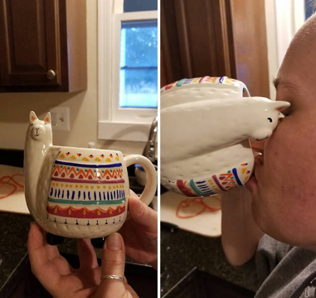 Failed Designs (25 pics)