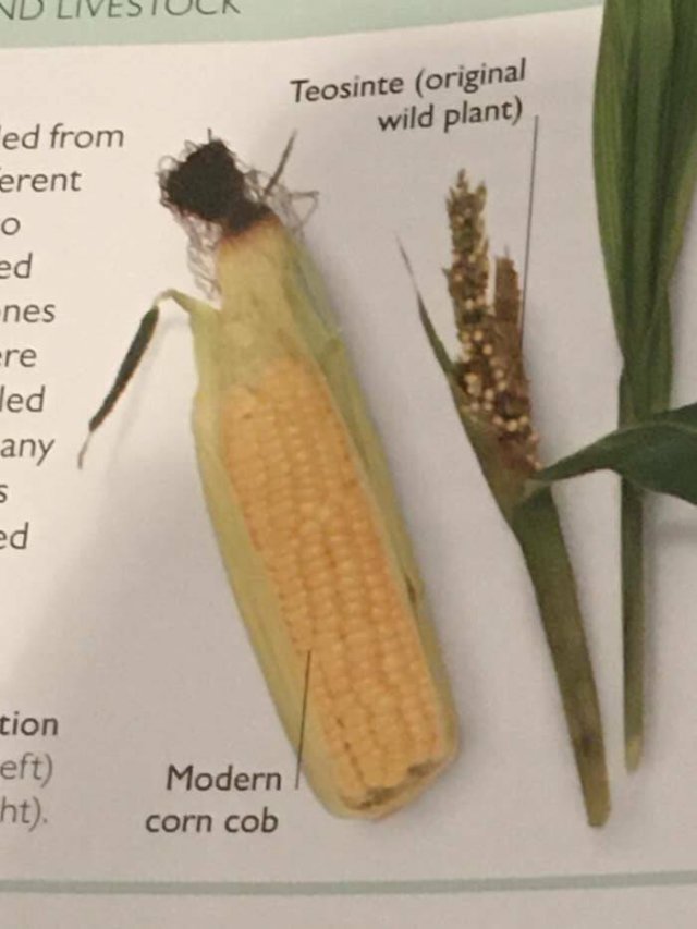 Interesting Finds And Discoveries (23 pics)