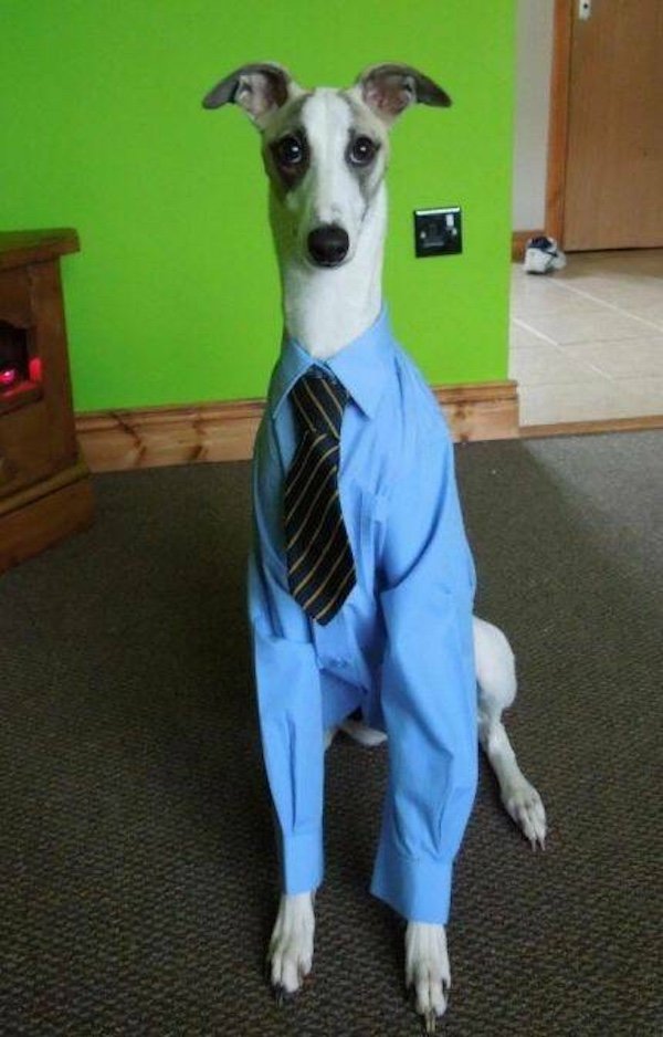 Funny Work Photos (30 pics)