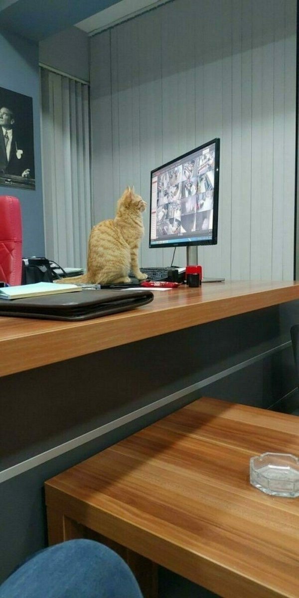 Funny Work Photos (30 pics)
