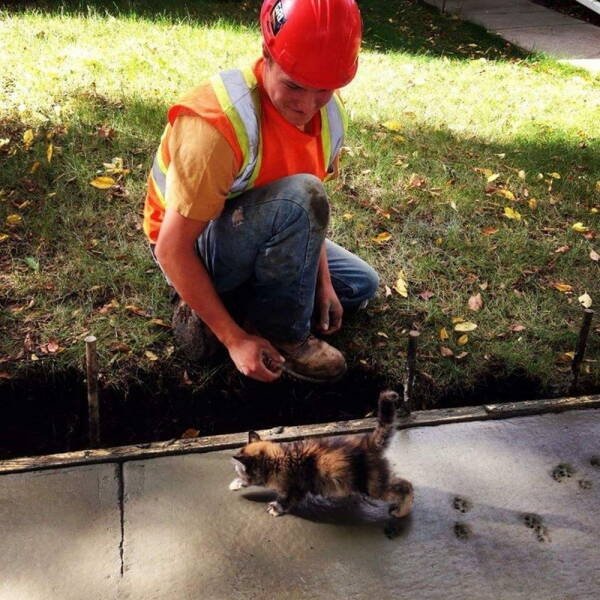 Funny Work Photos (30 pics)