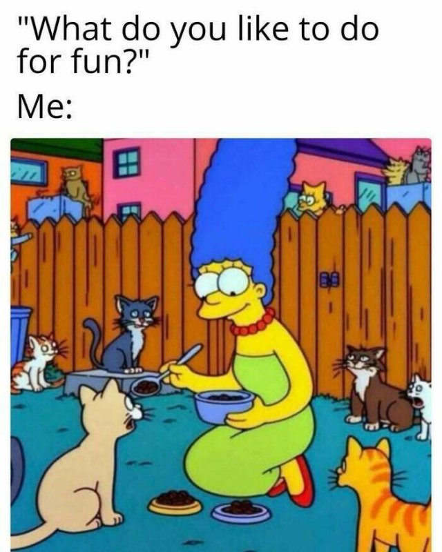 Jokes For Cat Lovers (27 pics)