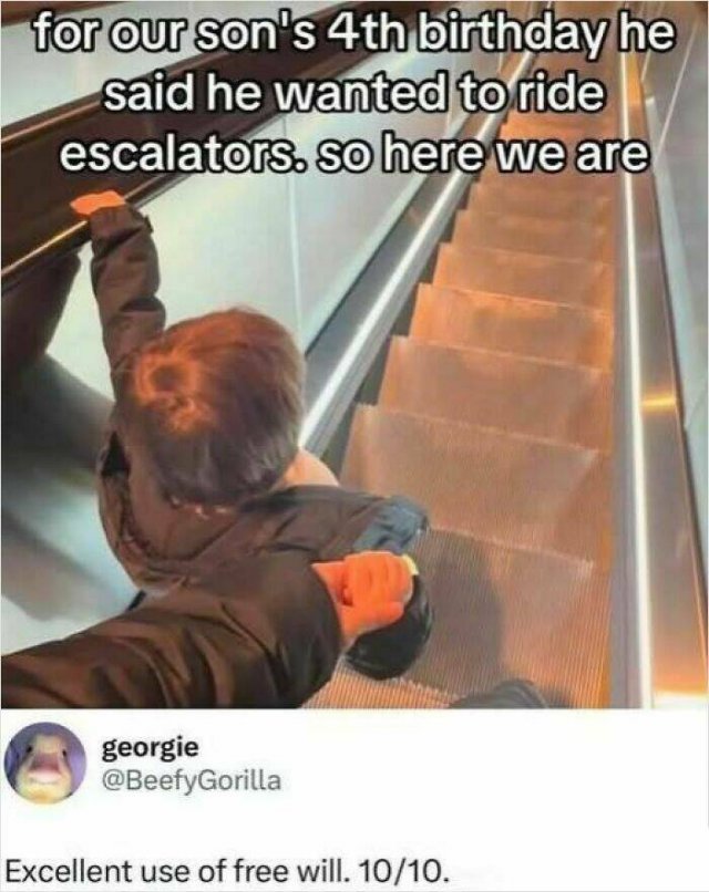 Sarcastic Memes (23 pics)