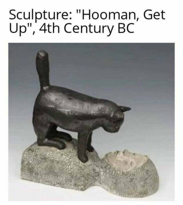 Jokes For Cat Lovers (27 pics)