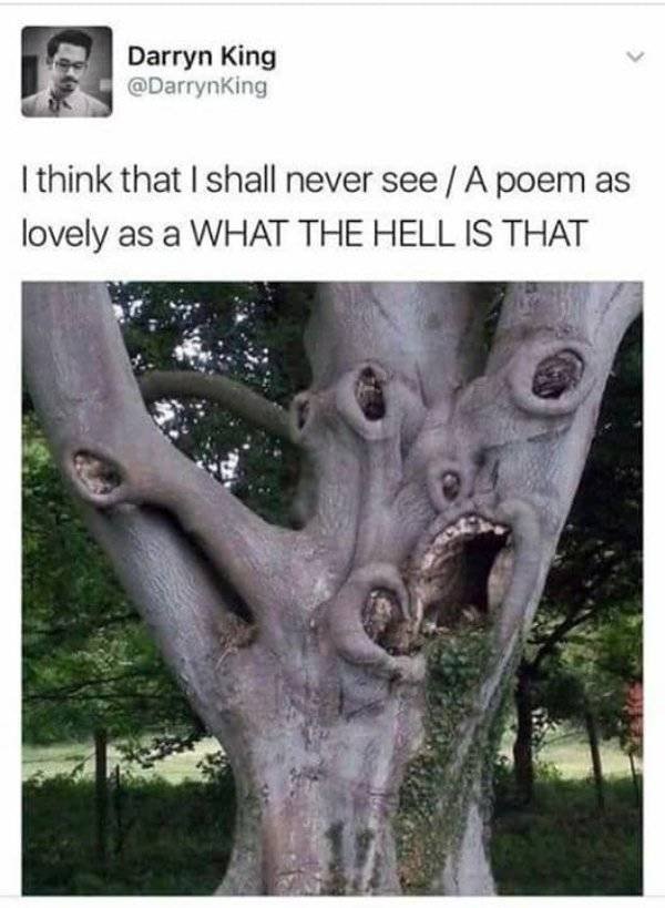 Weird Finds And Situations (24 pics)
