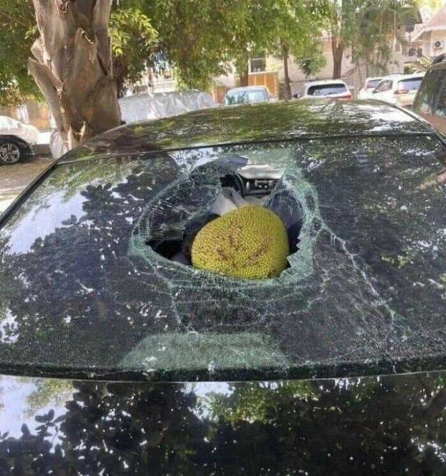 Expensive Fails (19 pics)