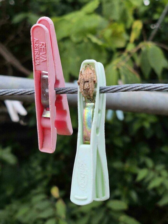 Weird Photos From Australia (19 pics)