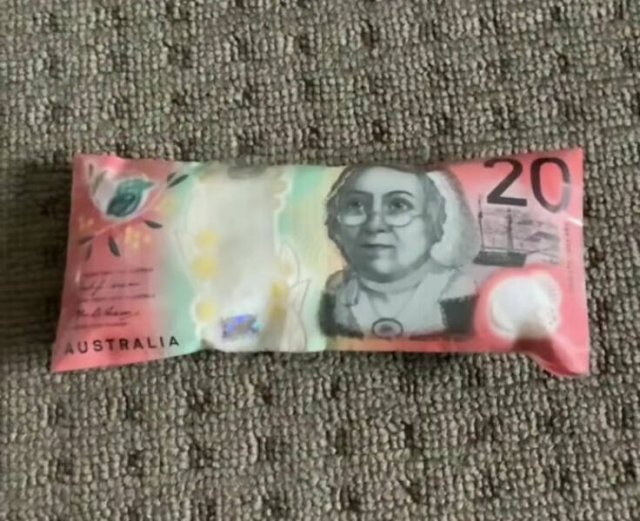 Weird Photos From Australia (19 pics)