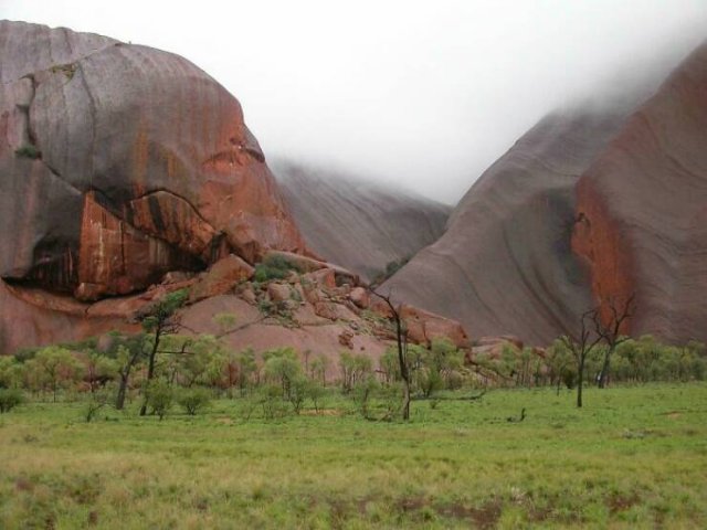 Weird Photos From Australia (19 pics)