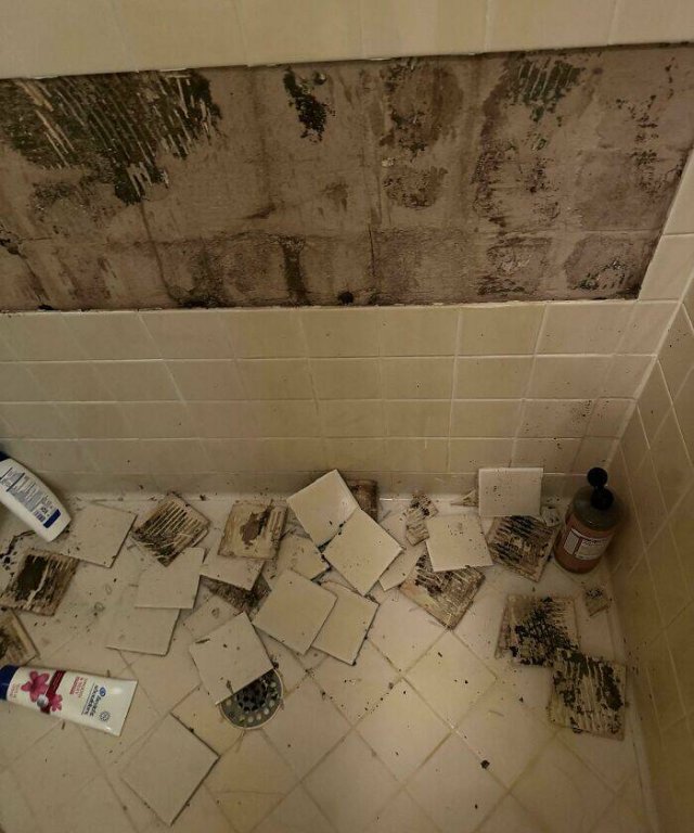 Expensive Fails (19 pics)