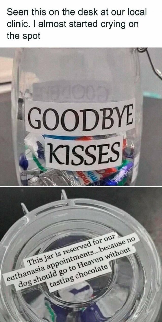 Funny Memes (17 pics)