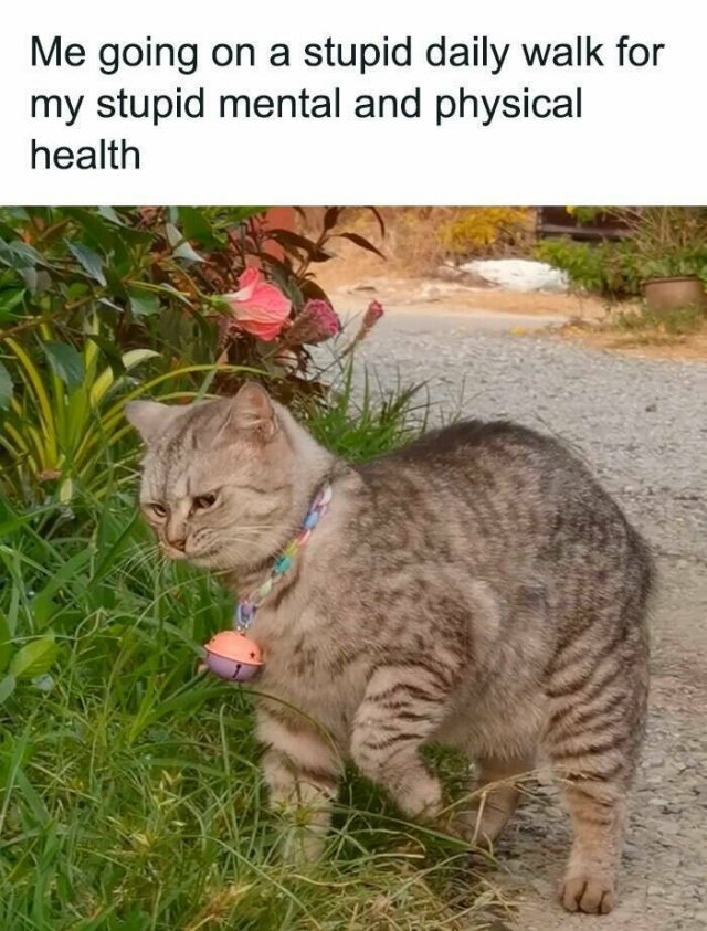 Funny Memes (17 pics)