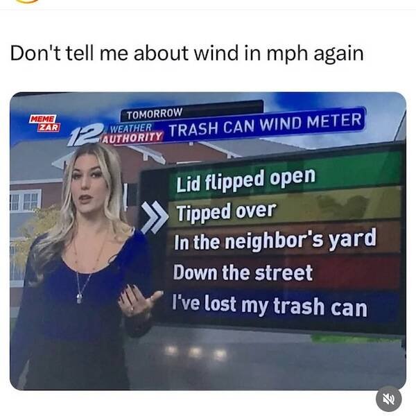 Truthful Memes (28 pics)