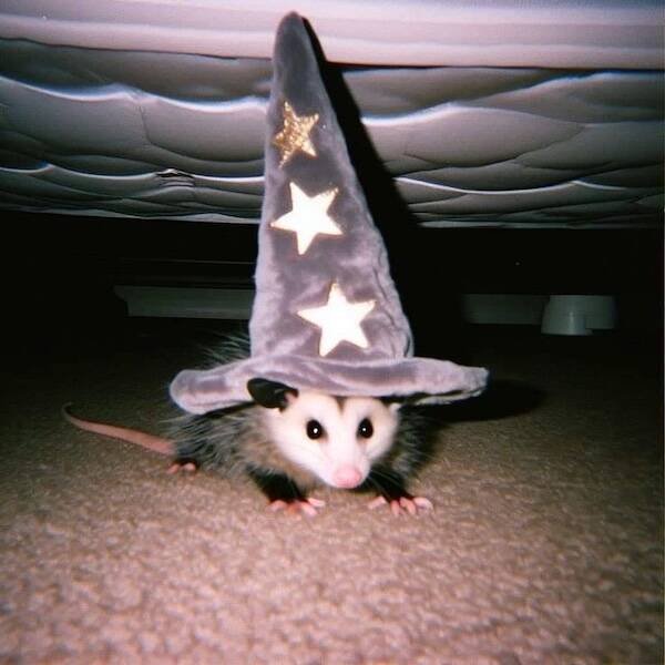 Jokes And Photos For Good Mood (24 pics)
