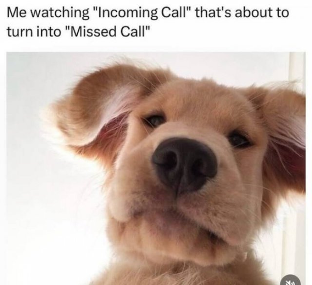 Truthful Memes (28 pics)