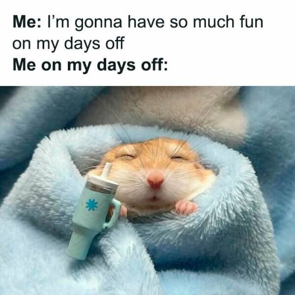 Funny Memes (17 pics)