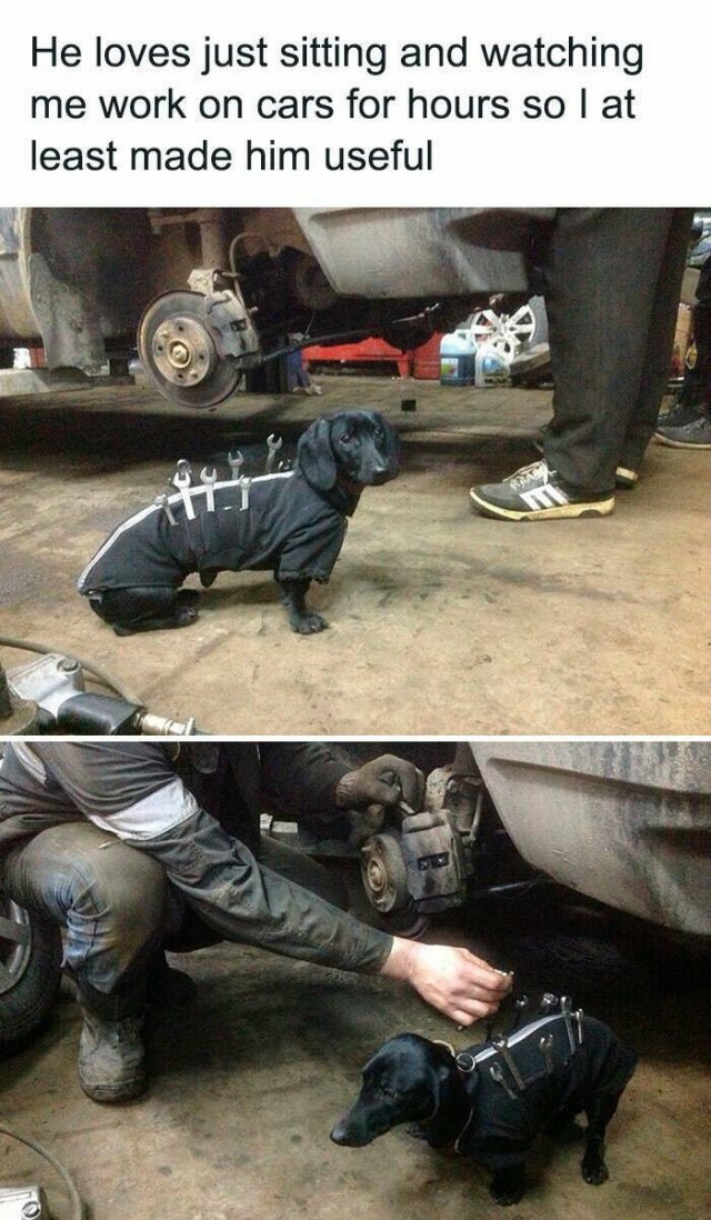 Funny Memes (17 pics)