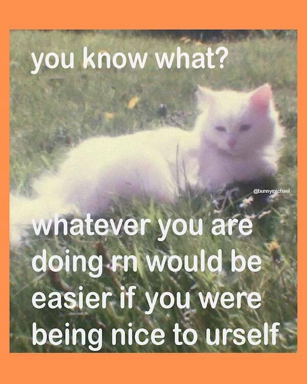 Jokes And Photos For Good Mood (24 pics)
