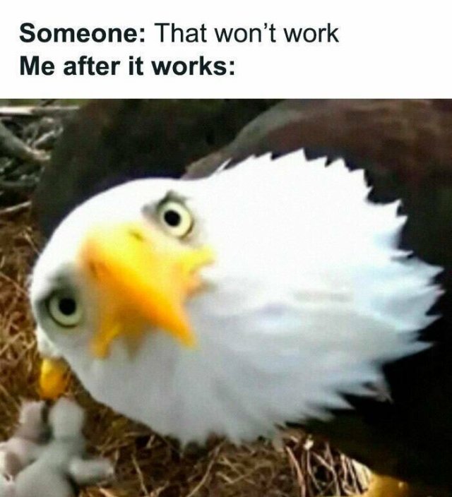 Funny Memes (17 pics)