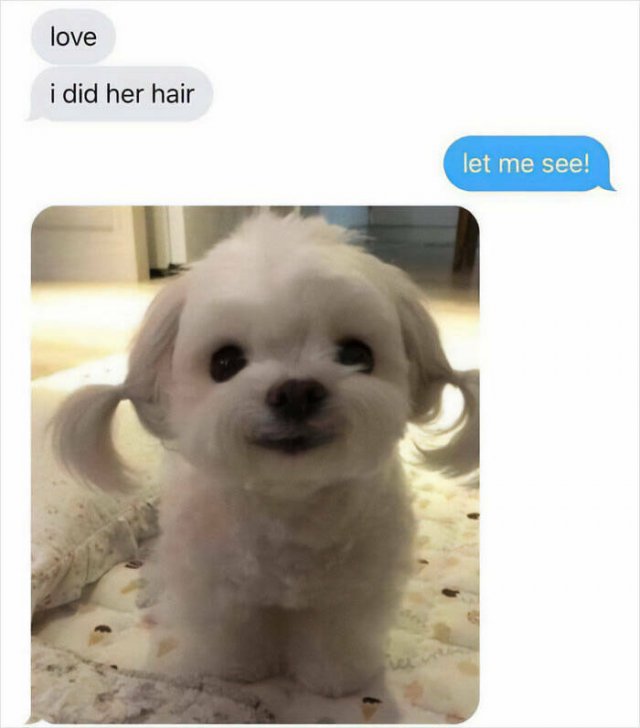Funny Memes (17 pics)