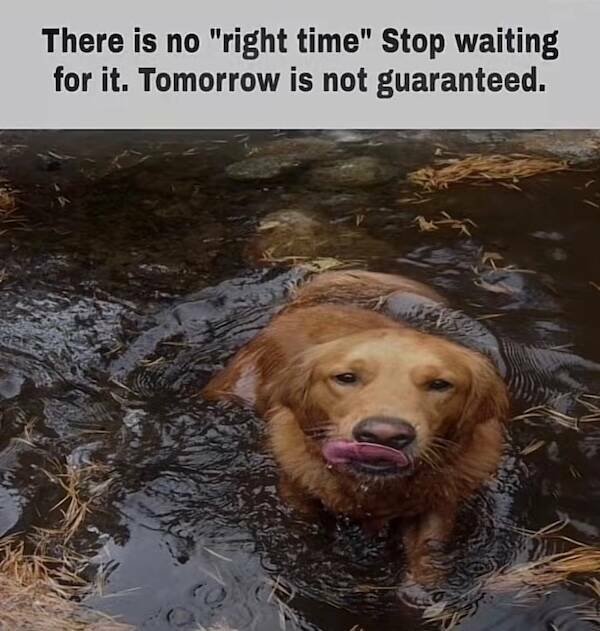Jokes And Photos For Good Mood (24 pics)