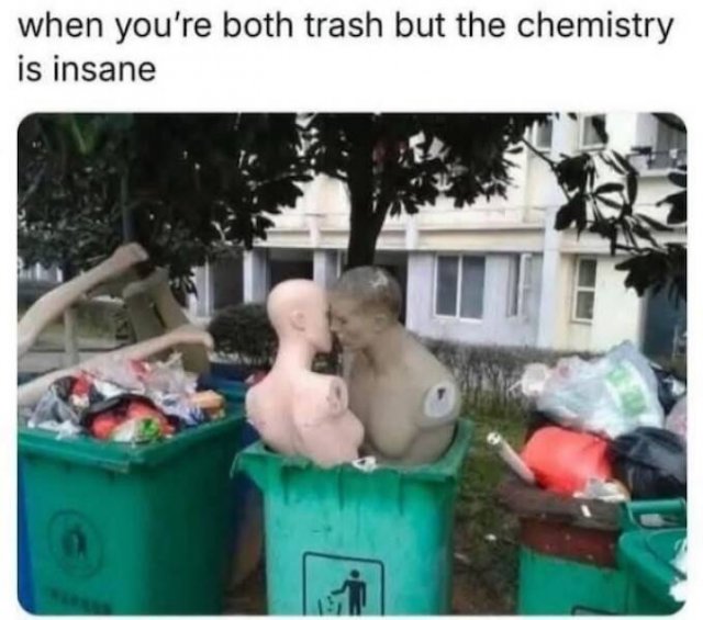 Truthful Memes (28 pics)
