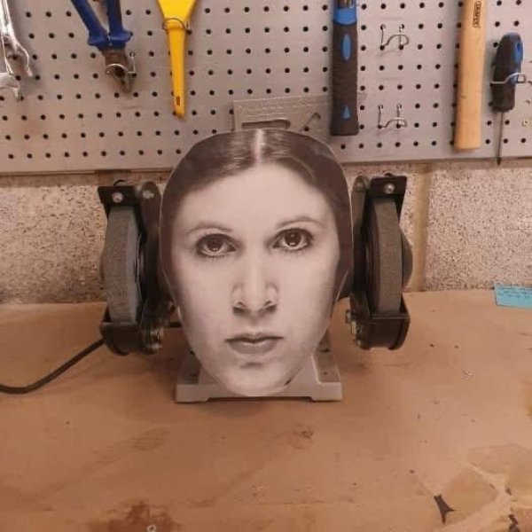 What Is Going On Here? (34 pics)