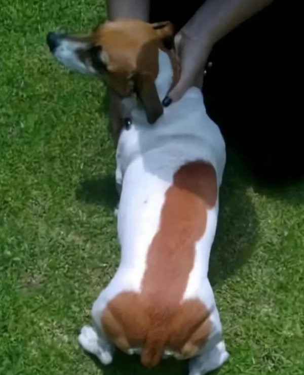 What Is Going On Here? (34 pics)