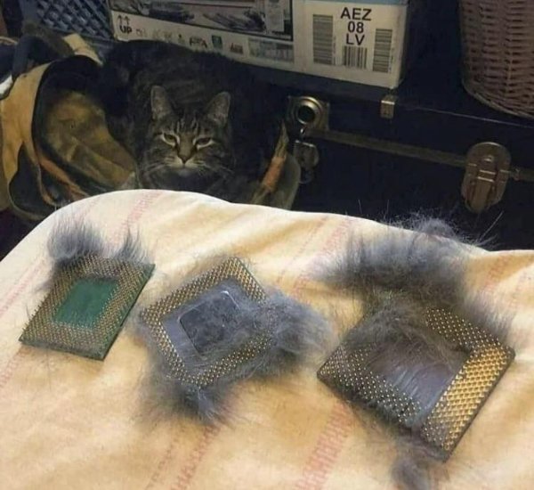 What Is Going On Here? (34 pics)