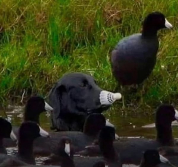 What Is Going On Here? (34 pics)