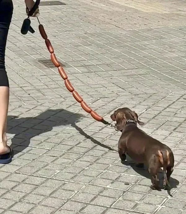 What Is Going On Here? (34 pics)